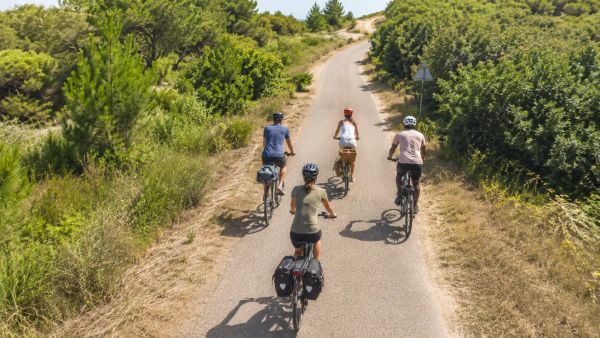 Pistes cyclables Vendée : les meilleurs itinéraires à découvrir